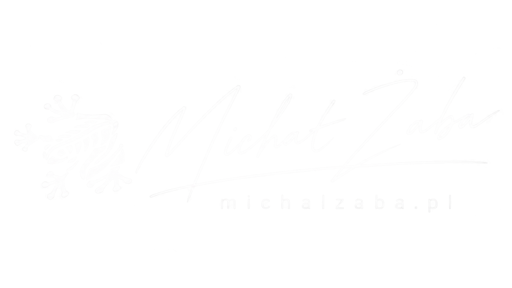 Michał Żaba — strona główna